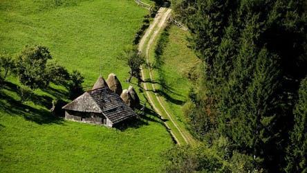 Excursion d’une journée en petit groupe dans d’authentiques villages de montagne roumains au départ de Brasov
